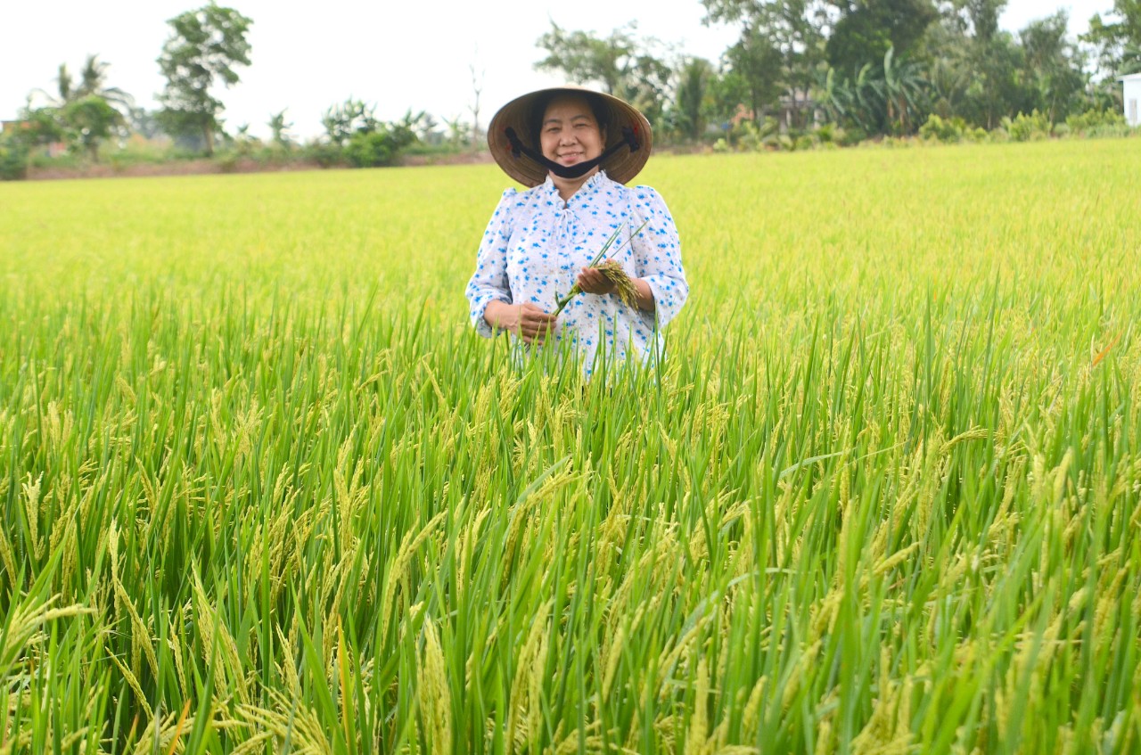 LƯƠNG THỰC MS THIÊN NGỌC