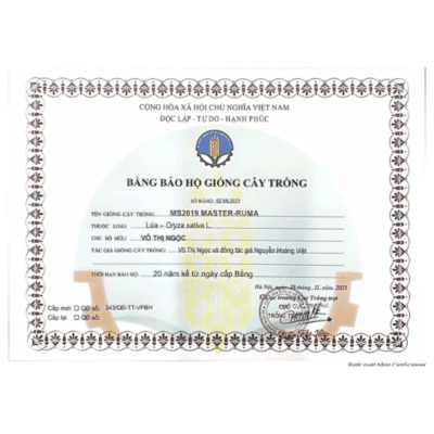 Bằng bảo hộ giống lúa MS2019 Master-Ruma do Cục Trồng trọt cấp